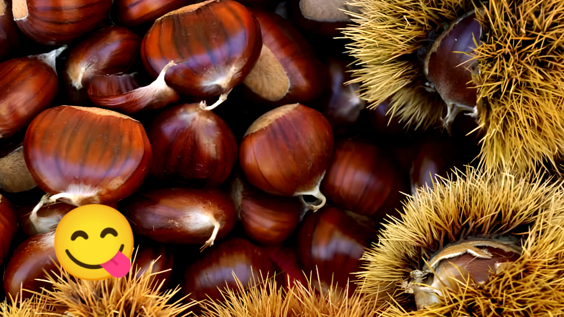 Conservare castagne: guida essenziale"